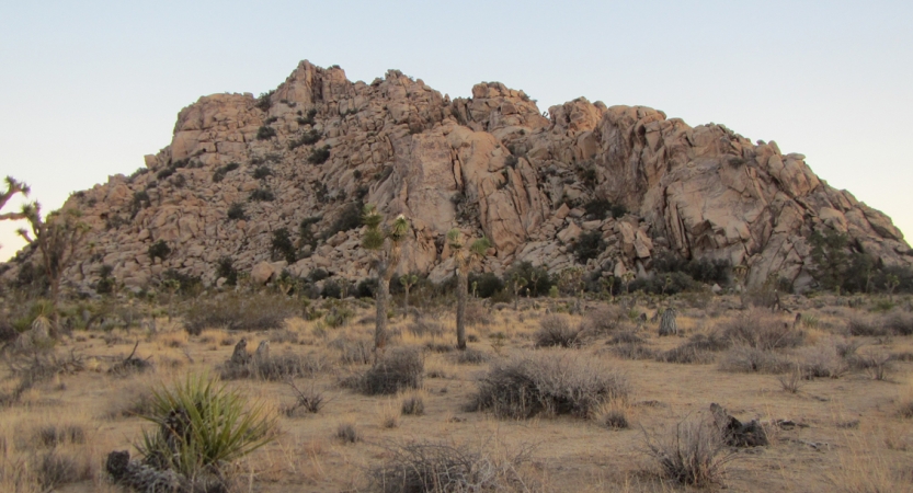 A large rocky hill rests among the desert landscape of Joshua Tree National Park